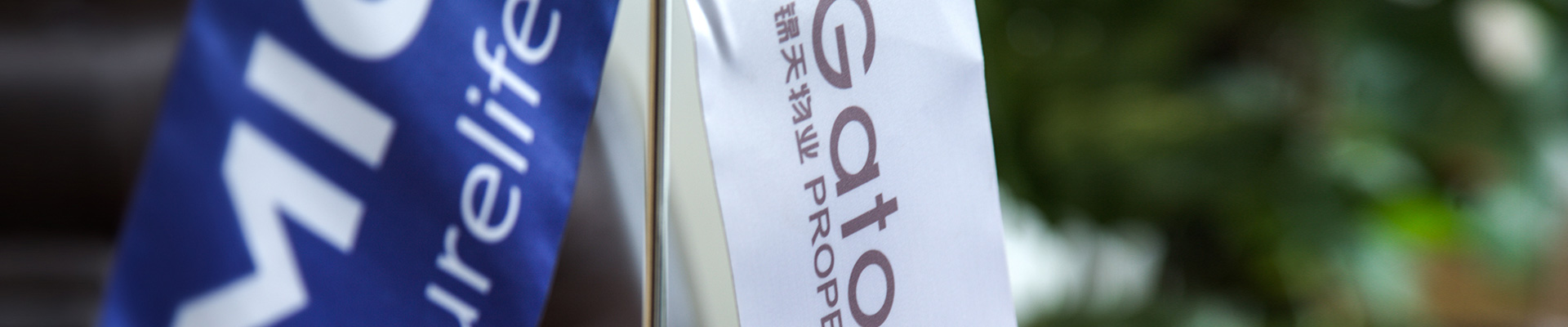 视频中(zhōng)心